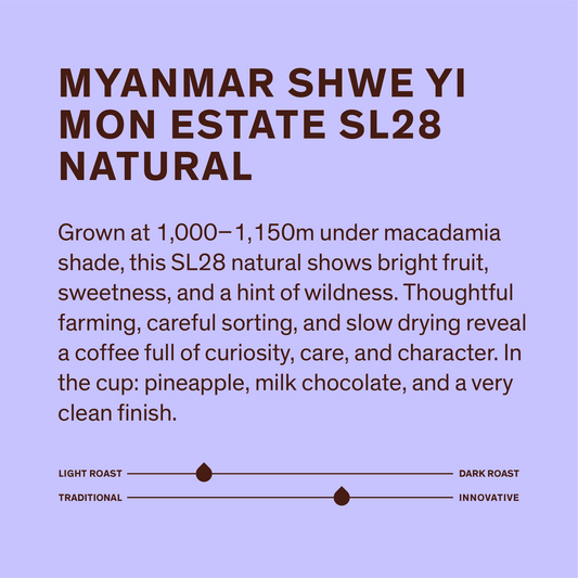 Myanmar-SL-28 Natural
